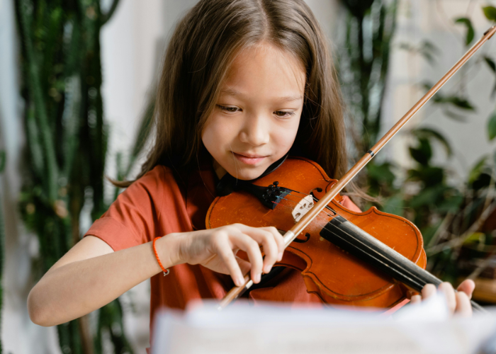 Beginner Violin Lessons